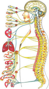 images (7)